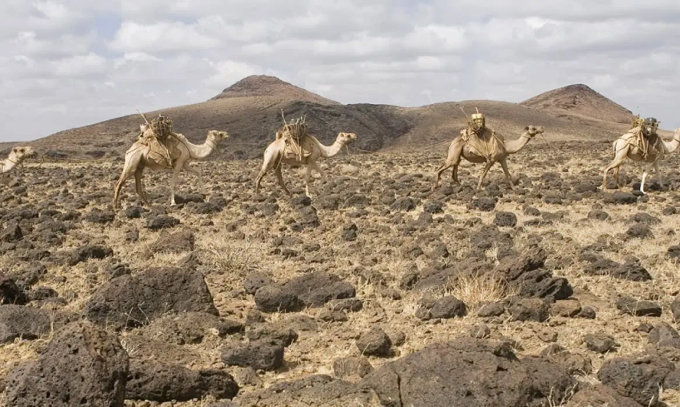 Chalbi Desert Safari