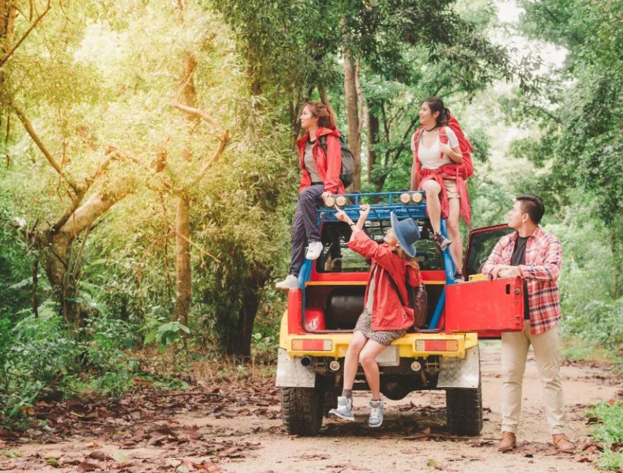 An Expert Guide to the Best Safari Tours In Kenya