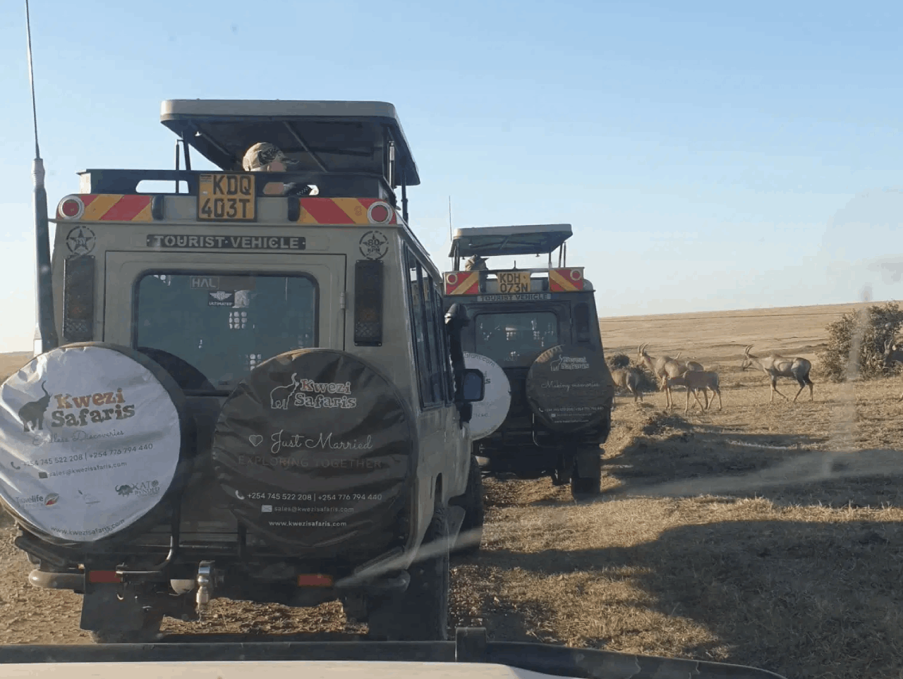 A Month by Month Guide to East Africa’s Best Travel Seasons