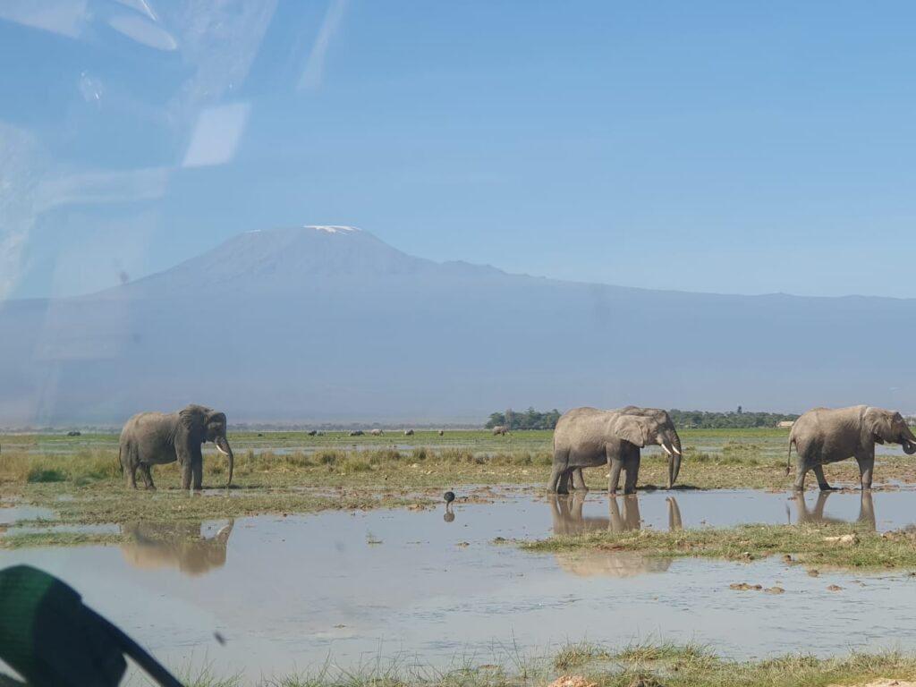 Amboseli National Park