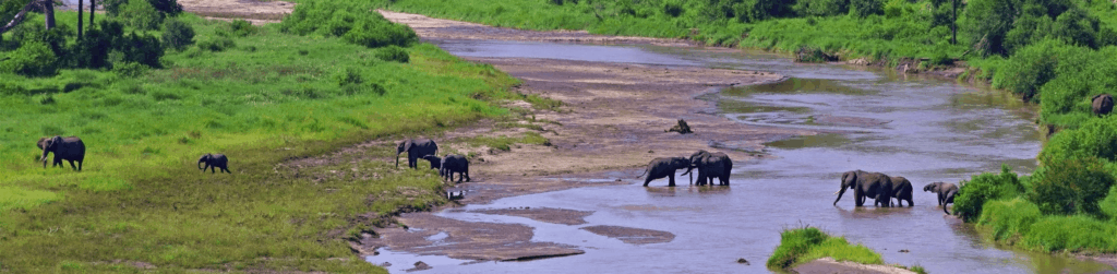 Tarangire National Park