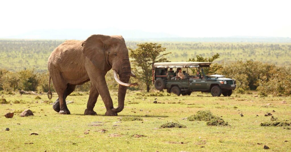 Encounter Mara Camp