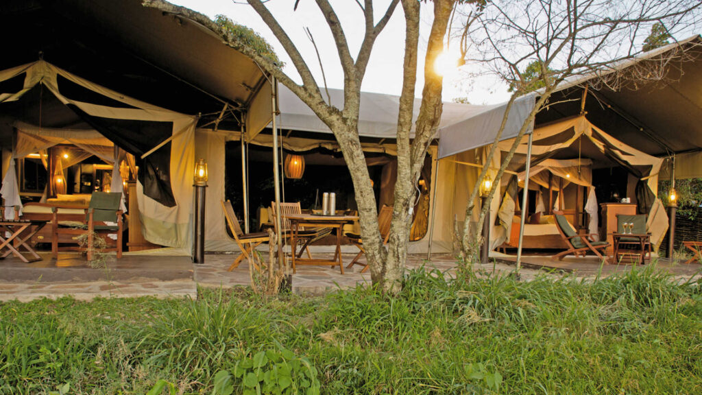 Mara Intrepids Camp